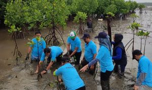 penanaman mangrove lantebung (1)
