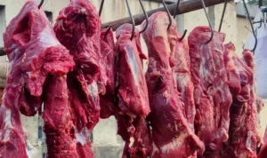 harga-daging-sapi-melonjak-pembeli-beralih-pada-a-util