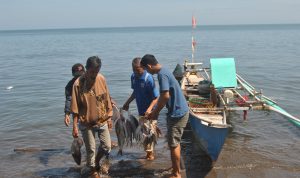 Aktifitas Nelayan di Galesong Kabupaten Takalar