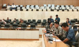 Direktur-Eksekutif-YKL-Indonesia-Nirwan-Dessibali-saat-memberikan-pemaparan-dalam-Rapat-Dengar-Pendapat-RUU-KSDAHE